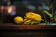 Citrus medica L